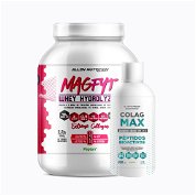 Magfyt whey hydrolized 2,2lb + colag max 500ml - 1 pack